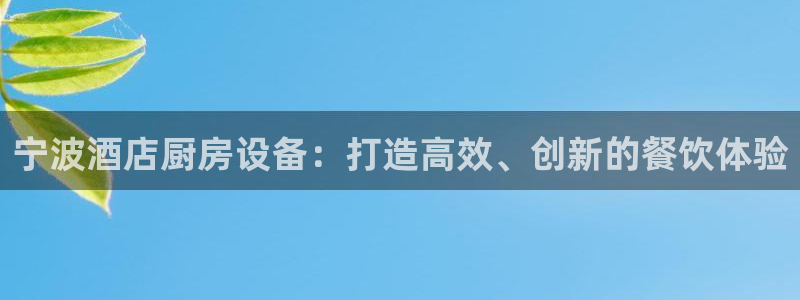 尊龙手机客户端下载APP：宁波酒店厨房设备：打造高效、创新的