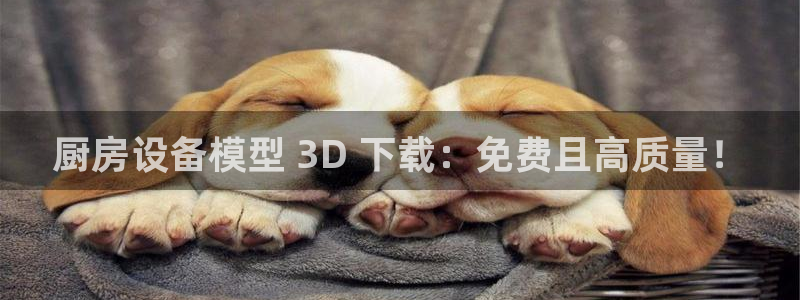 尊龙传奇英文怎么写：厨房设备模型 3D 下载：免费且高质量！